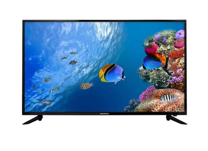 TV LED 55