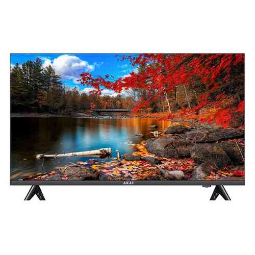 TV LED 55
