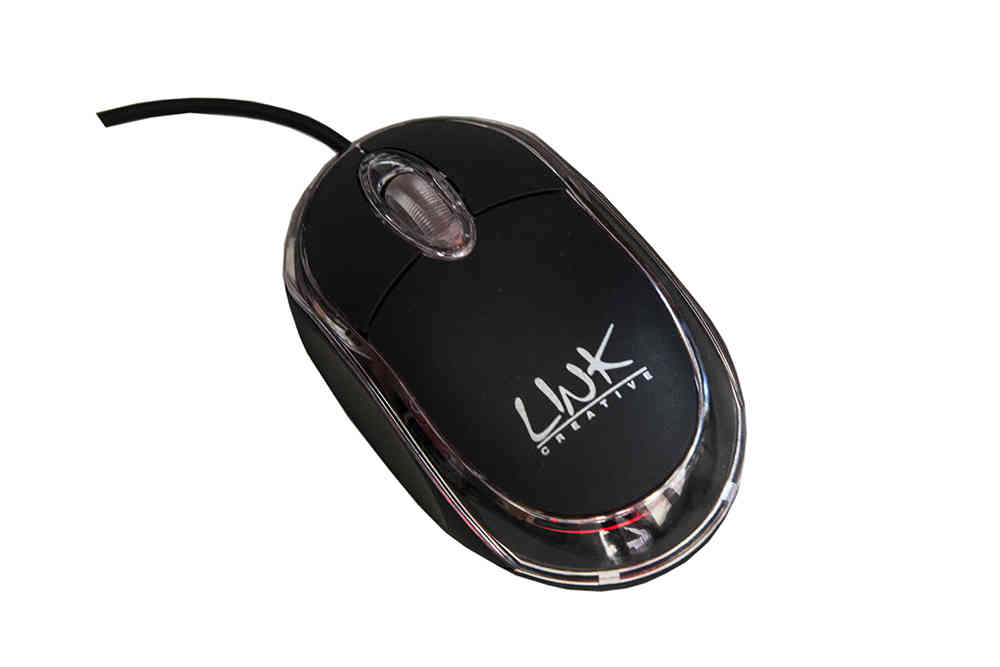 Mouse